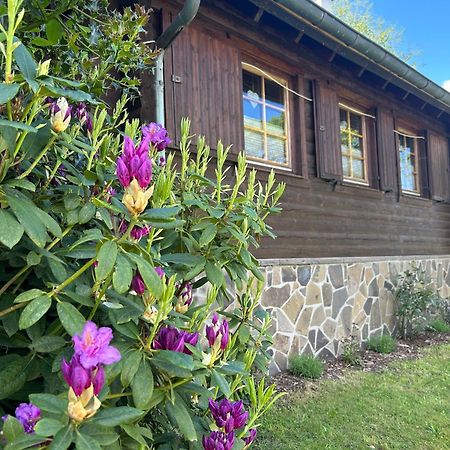 Вилла Blockhuette Engeln-Eifel Kempenich Экстерьер фото