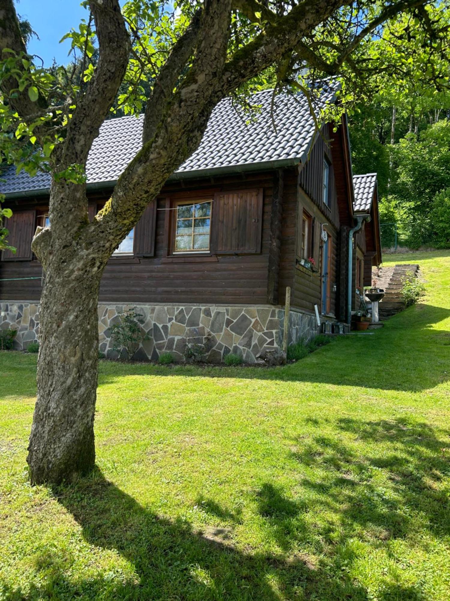 Вилла Blockhuette Engeln-Eifel Kempenich Экстерьер фото