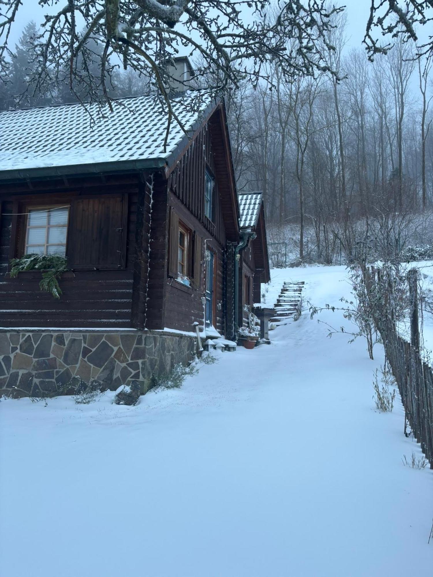 Вилла Blockhuette Engeln-Eifel Kempenich Экстерьер фото